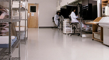 Floor costings minimize spread of bacteria.